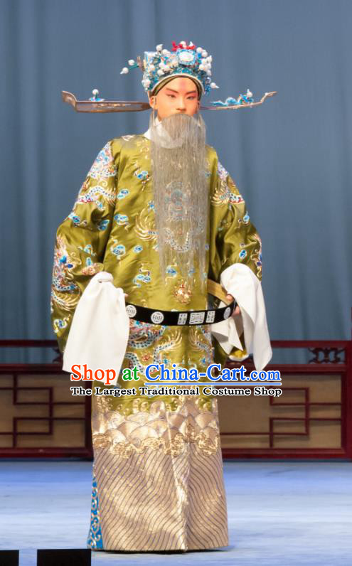 Ban Yao Chinese Ping Opera Minister Garment Costumes and Headwear Pingju Opera Elderly Male Wang Yun Apparels Clothing