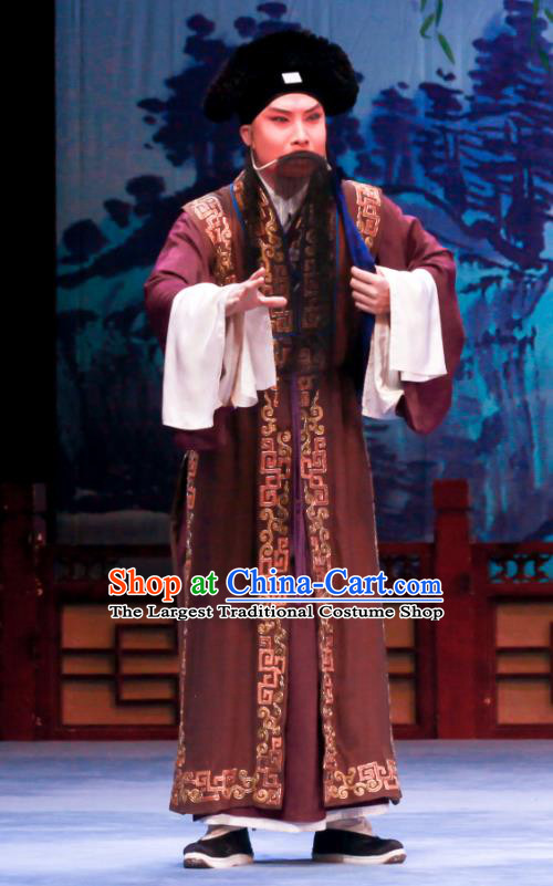Shao Gu Ji Chinese Ping Opera Elderly Male Zhu Huai Garment Costumes and Headwear Pingju Opera Landlord Apparels Clothing