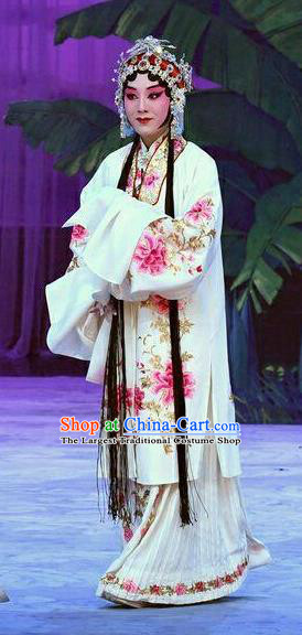 Chinese Beijing Opera Rich Lady Garment Costumes and Hair Accessories Traditional Peking Opera Wang Baochuan Young Female Dress Hua Tan Apparels