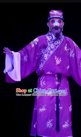 Li Sanniang Chinese Ping Opera Chou Garment Costumes and Headwear Pingju Opera Clown Purple Robe Apparels Clothing