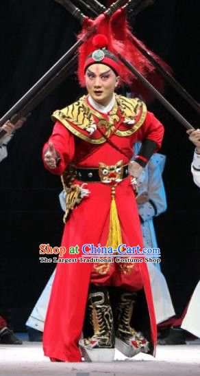 The Tiger Generals Chinese Peking Opera General Li Cunxiao Apparels Costumes and Headpieces Beijing Opera Martial Male Garment Wusheng Clothing