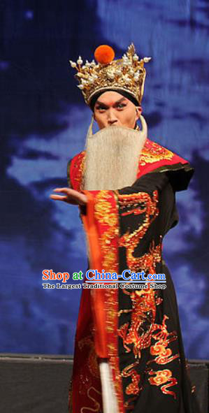 The Tiger Generals Chinese Peking Opera Laosheng Apparels Costumes and Headpieces Beijing Opera Elderly Male Garment Lord Li Keyong Clothing