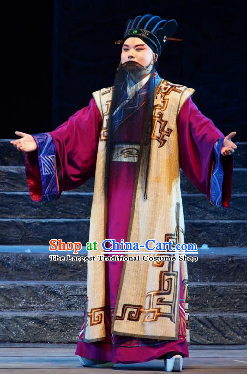 King of Qi Tian Heng Chinese Peking Opera Laosheng Apparels Costumes and Headpieces Beijing Opera Old Man Garment Swordsman Clothing