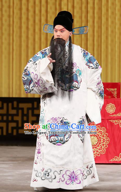 Yi Peng Xue Chinese Peking Opera Elderly Male Apparels Costumes and Headpieces Beijing Opera Laosheng Garment Official Mo Huaigu Clothing