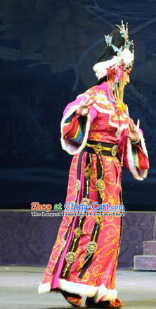 Chinese Beijing Opera Hua Tan Biao Yan Garment Costumes and Hair Accessories Bei Feng Jin Traditional Peking Opera Actress Dress Young Female Apparels