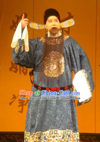 Hai Rui Bei Qian Chinese Peking Opera Minister Apparels Costumes and Headpieces Beijing Opera Official Garment Laosheng Hai Rui Clothing