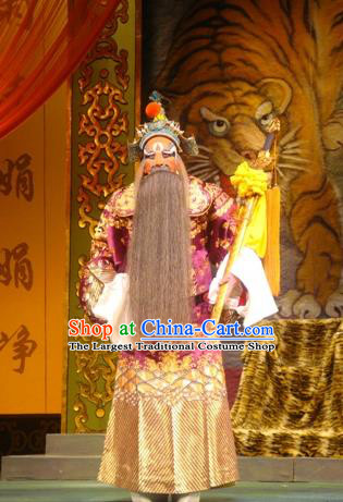 Hai Rui Bei Qian Chinese Peking Opera Duke Zhang Apparels Costumes and Headpieces Beijing Opera Elderly Male Garment Lord Clothing