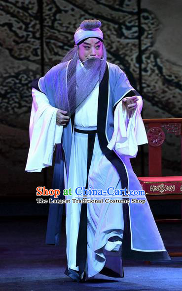 Zhao Jintang Chinese Ping Opera Elderly Male Garment Costumes and Headwear Pingju Opera Laosheng Apparels Old Man Clothing