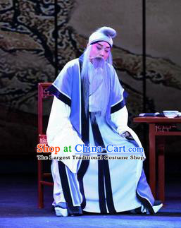 Zhao Jintang Chinese Ping Opera Elderly Male Garment Costumes and Headwear Pingju Opera Laosheng Apparels Old Man Clothing