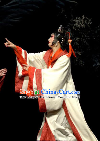 Chinese Sichuan Opera Actress Pu Lan Costumes and Hair Accessories Yu Hai Kuang Chao Traditional Peking Opera Young Female Dress Rich Woman Apparels