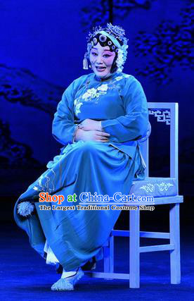 Chinese Ping Opera Aunt Song Apparels Costumes and Headpieces Zhao Jintang Traditional Pingju Opera Elderly Female Dress Garment