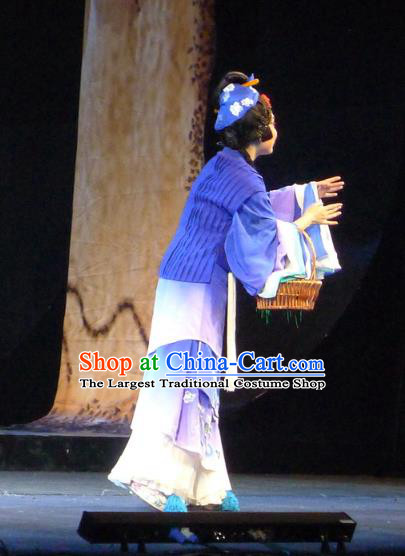 Chinese Sichuan Opera Maidservant Du Juan Costumes and Hair Accessories Hui Lan Ji Traditional Peking Opera Young Female Dress Actress Purple Apparels