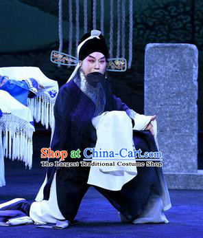 Zhao Jintang Chinese Ping Opera Elderly Male Garment Costumes and Headwear Pingju Opera Laosheng Zhu Chundeng Apparels Clothing