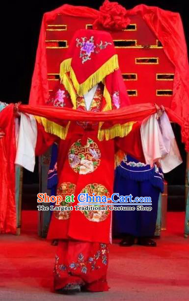 Chinese Sichuan Opera Bride The Legend of White Snake Bai Suzhen Garment Costumes and Hair Accessories Traditional Peking Opera Hua Tan Red Dress Apparels