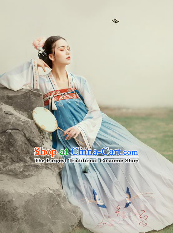 Chinese Ancient Noble Infanta Embroidered Hanfu Dress Traditional Tang Dynasty Royal Princess Historical Costumes Court Lady Garment