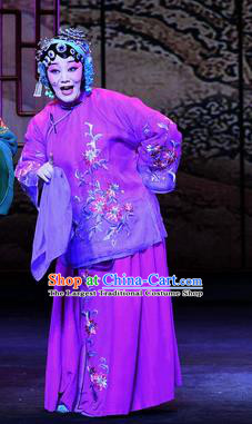 Chinese Ping Opera Elderly Female Apparels Costumes and Headpieces Zhao Jintang Traditional Pingju Opera Aunt Song Dress Garment