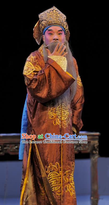 Xue Baochai Chinese Sichuan Opera Elderly Male Apparels Costumes and Headpieces Peking Opera Laosheng Garment Landlord Clothing
