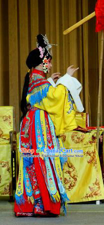 Chinese Sichuan Opera Young Female Garment Costumes and Hair Accessories Traditional Peking Opera Jin Dian Shen La Hua Tan Dress Princess Apparels