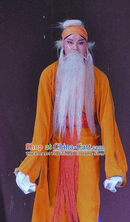 Jin Dian Shen La Chinese Sichuan Opera Laosheng Apparels Costumes and Headpieces Peking Opera Old Servant Chen Rong Garment Clothing