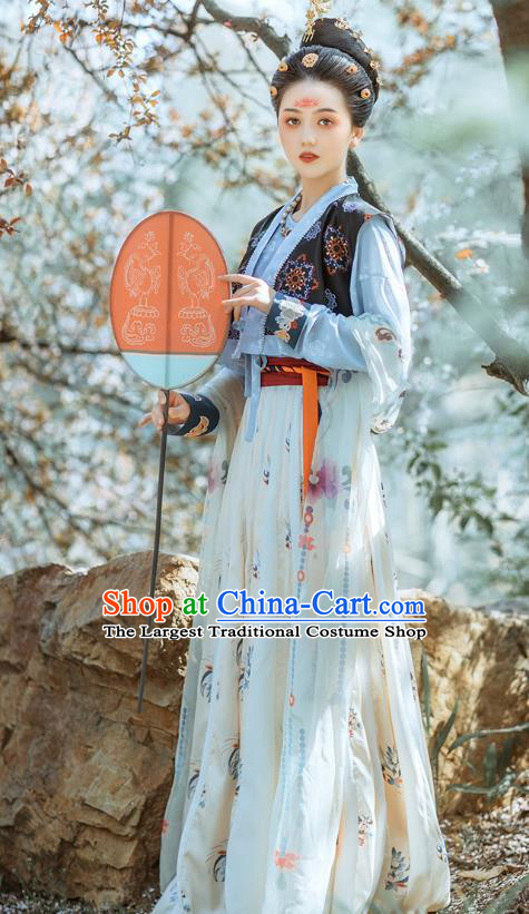 Chinese Ancient Court Lady Hanfu Dress Traditional Tang Dynasty Royal Princess Garment Historical Costumes for Women