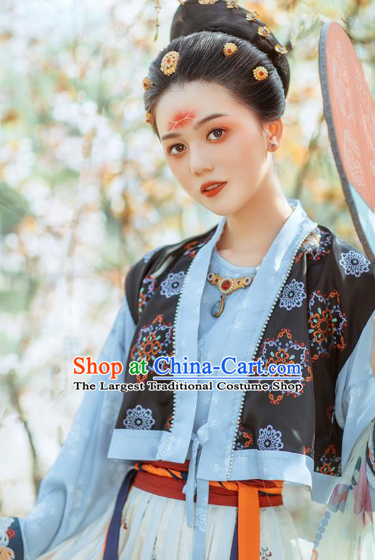 Chinese Ancient Court Lady Hanfu Dress Traditional Tang Dynasty Royal Princess Garment Historical Costumes for Women