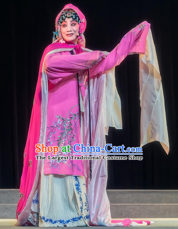 Chinese Sichuan Opera Hua Tan Garment Zhuo Wenjun Costumes and Hair Accessories Traditional Peking Opera Young Female Rosy Dress Actress Apparels