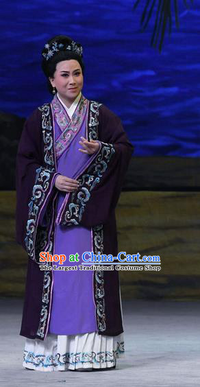 Chinese Beijing Opera Middle Age Female Apparels Costumes and Headpieces Traditional Peking Opera Dame Lin Dress Garment