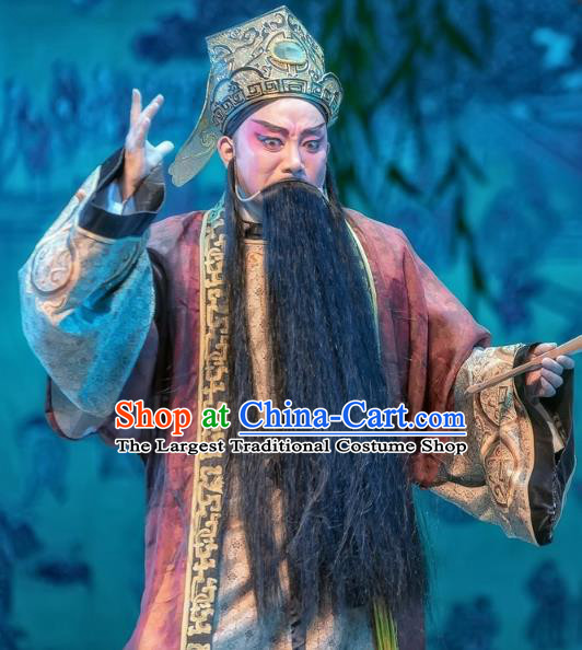Bao En Ji Chinese Sichuan Opera Prefect Wen Datong Apparels Costumes and Headpieces Peking Opera Elderly Male Garment Laosheng Clothing