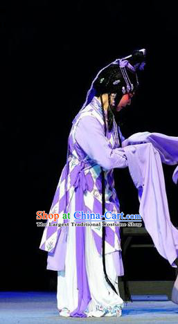 Chinese Sichuan Opera Taoist Nun Garment Costumes and Hair Accessories The Jade Hairpin Traditional Peking Opera Diva Chen Jiaolian Dress Hua Tan Apparels