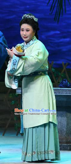 Chinese Beijing Opera Dame Wang Apparels Costumes and Headpieces Traditional Peking Opera Elderly Female Dress Garment