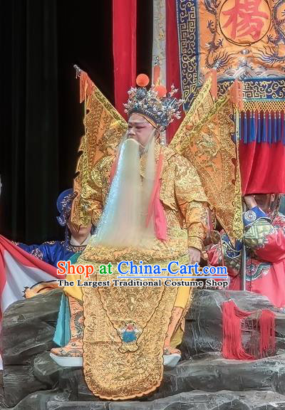 Shuang Ba Lang Chinese Sichuan Opera Elderly Male Apparels Costumes and Headpieces Peking Opera General Yang Jiye Garment Armor Clothing with Flags