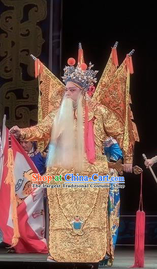 Shuang Ba Lang Chinese Sichuan Opera Elderly Male Apparels Costumes and Headpieces Peking Opera General Yang Jiye Garment Armor Clothing with Flags