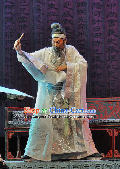 Xi Zhao Qi Shan Chinese Sichuan Opera Laosheng Apparels Costumes and Headpieces Peking Opera Elderly Male Garment Strategist Zhuge Liang Clothing