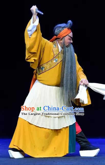 Yu He Qiao Chinese Sichuan Opera Laosheng Apparels Costumes and Headpieces Peking Opera Garment Elderly Male Clothing