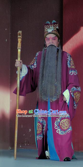 Chinese Sichuan Opera Elderly Male Wang Yun Apparels Costumes and Headpieces Peking Opera Landlord Garment Official Clothing