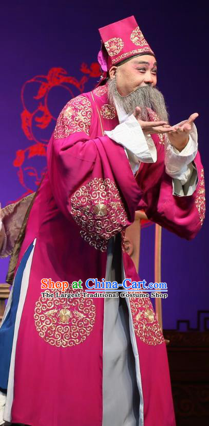 He Zhu Pei Chinese Sichuan Opera Ministry Councillor Apparels Costumes and Headpieces Peking Opera Elderly Male Garment Landlord Jin Sanguan Clothing