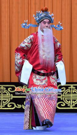 Yu Bei Pavilion Chinese Peking Opera Laosheng Garment Costumes and Headwear Beijing Opera Elderly Official Apparels Clothing