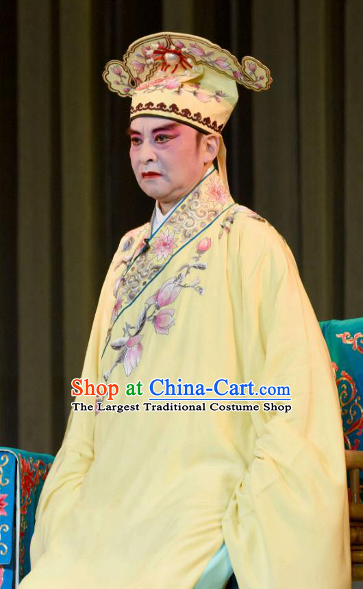 Fang You Chinese Sichuan Opera Niche Apparels Costumes and Headpieces Peking Opera Xiaosheng Garment Scholar Liang Shanbo Clothing