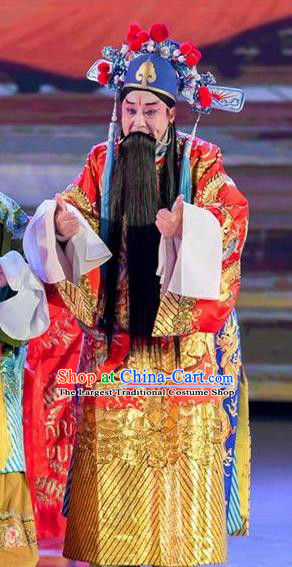 Yuan Men Zhan Zi Chinese Sichuan Opera Laosheng Apparels Costumes and Headpieces Peking Opera Elderly Male Garment Marshal Yang Yanzhao Clothing