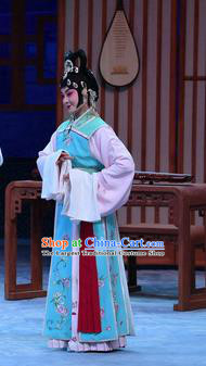 Chinese Beijing Opera Xiaodan Actress Apparels Costumes and Headpieces Traditional Peking Opera Young Lady Dress Garment