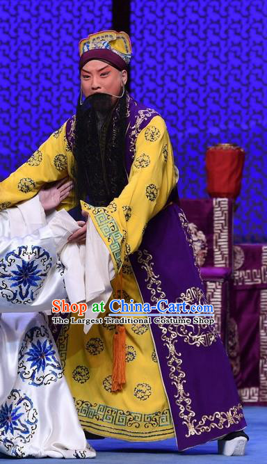 Luo Cheng Chinese Peking Opera Laosheng Garment Costumes and Headwear Beijing Opera Elderly Male Apparels Emperor Li Yuan Clothing