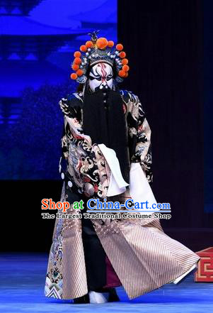 Chinese Peking Opera General Luo Cheng Garment Costumes and Headwear Beijing Opera Elderly Male Apparels Clothing Python Embroidered Robe