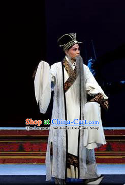 Xin Zhui Chinese Peking Opera Prime Minister Li Cang Garment Costumes and Headwear Beijing Opera Laosheng Apparels Elderly Male Clothing