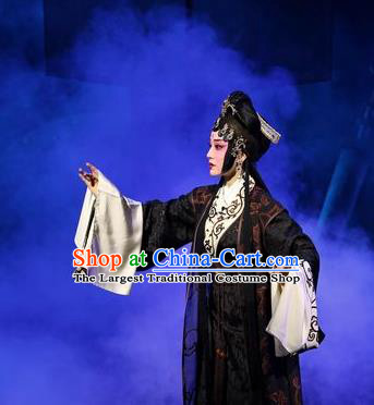 Chinese Beijing Opera Noble Woman Apparels Costumes and Headdress Xin Zhui Traditional Peking Opera Han Dynasty Dress Actress Garment