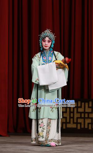 Chinese Beijing Opera Hua Tan Apparels Costumes and Headdress Da Bao Guo Er Jin Gong Traditional Peking Opera Noble Consort Dress Diva Li Yanfei Garment