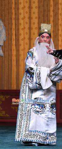 Sacrifice Zhao Shi Gu Er Chinese Peking Opera Official Cheng Ying Garment Costumes and Headwear Beijing Opera Elderly Male Apparels Clothing