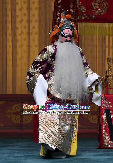 Sacrifice Zhao Shi Gu Er Chinese Peking Opera King Garment Costumes and Headwear Beijing Opera Elderly Male Apparels Landlord Clothing