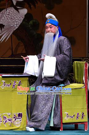 Sacrifice Zhao Shi Gu Er Chinese Peking Opera Laosheng Gongsun Chujiu Garment Costumes and Headwear Beijing Opera Elderly Man Apparels Clothing