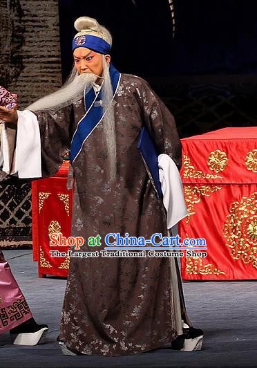Sacrifice Zhao Shi Gu Er Chinese Peking Opera Cheng Ying Garment Costumes and Headwear Beijing Opera Laosheng Apparels Old Man Clothing