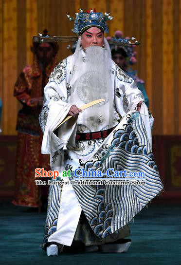 Sacrifice Zhao Shi Gu Er Chinese Peking Opera Laosheng Garment Costumes and Headwear Beijing Opera Elderly Male Apparels Official Han Jue Clothing